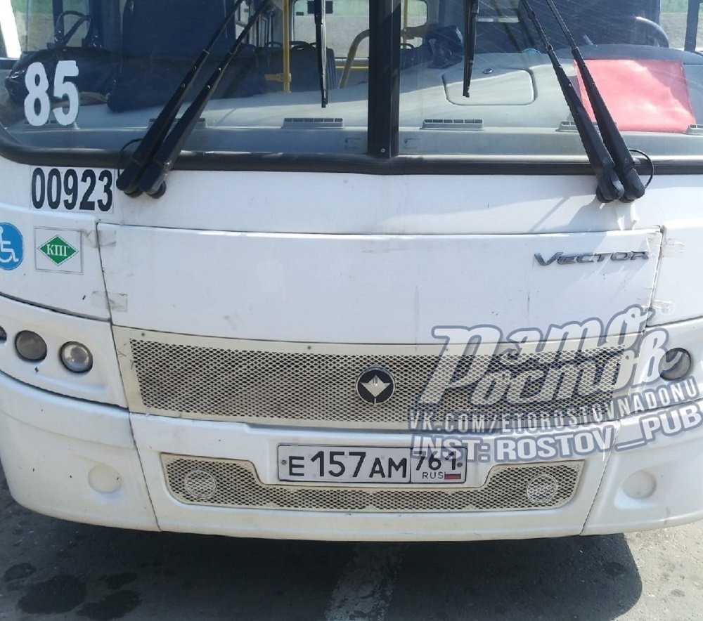 Ростовчанка хочет наказать наказывающего пассажиров водителя автобуса