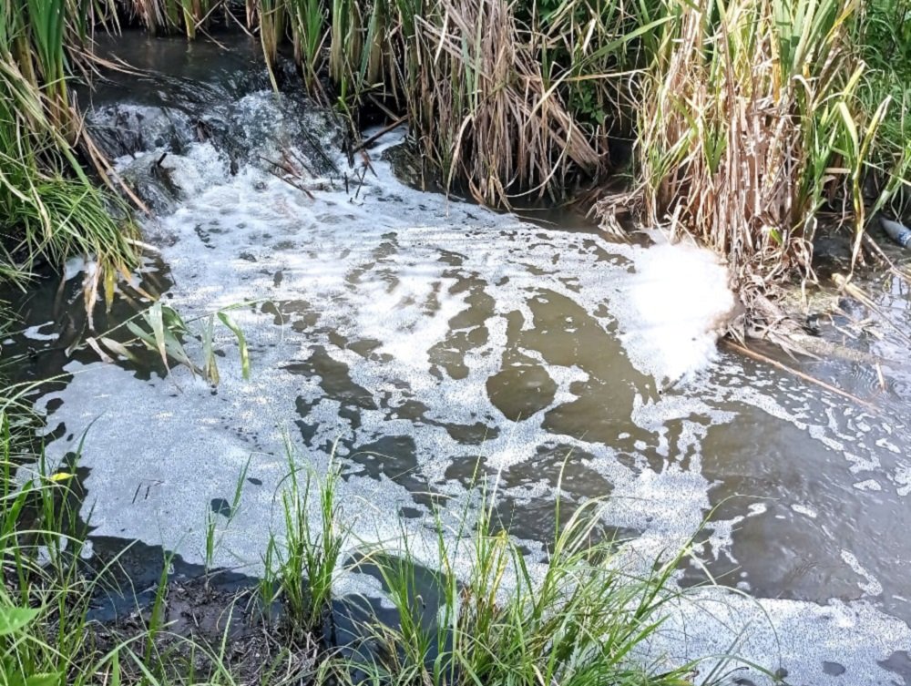 Сброс химикатов в реку Темерник требуют придать огласке ростовчане