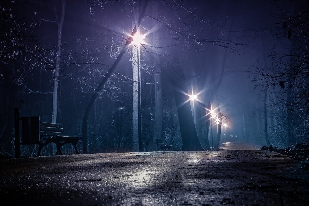 В парке Новочеркасска неизвестные украли светильники на полмиллиона рублей