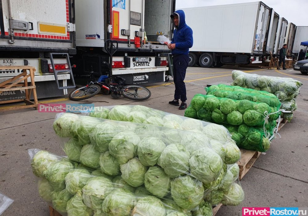 Места для переезда овощного рынка в Ростове нашли власти