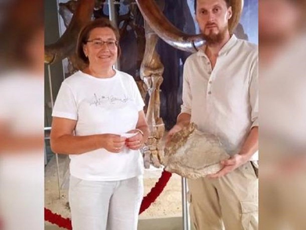 Останки мамонта нашел в куче строительного песка житель Азова