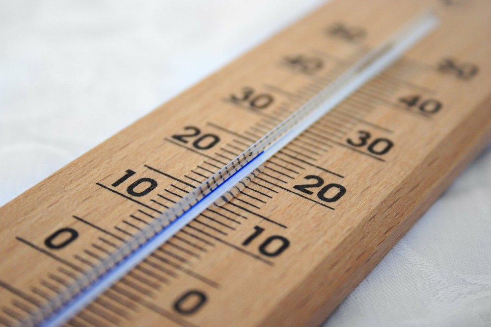 Аномальная жара до +35 градусов ожидается на выходных в Ростовской области