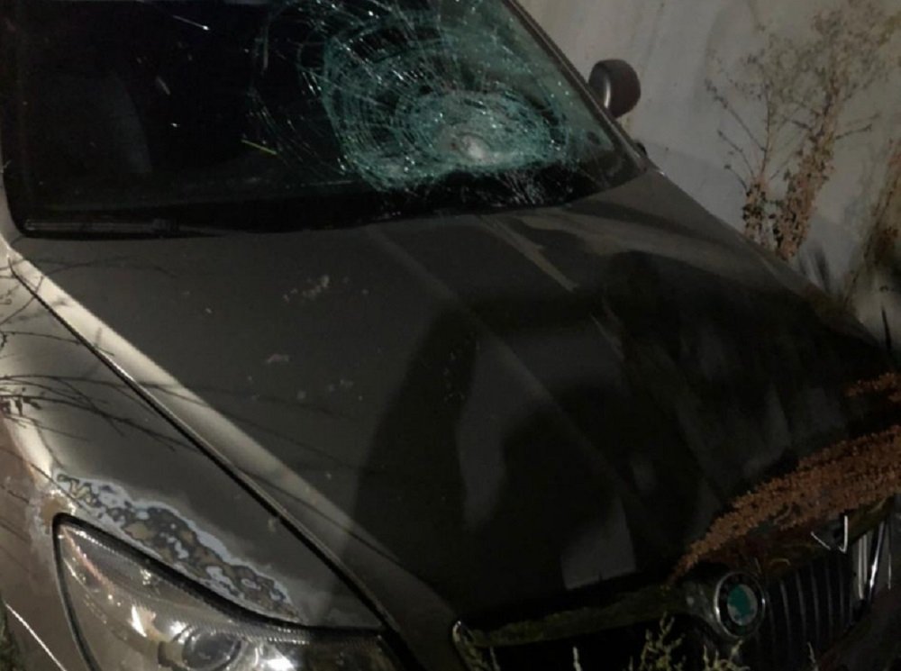 В больнице Каменска умер мужчина, которого сбил пьяный водитель, а после скрылся
