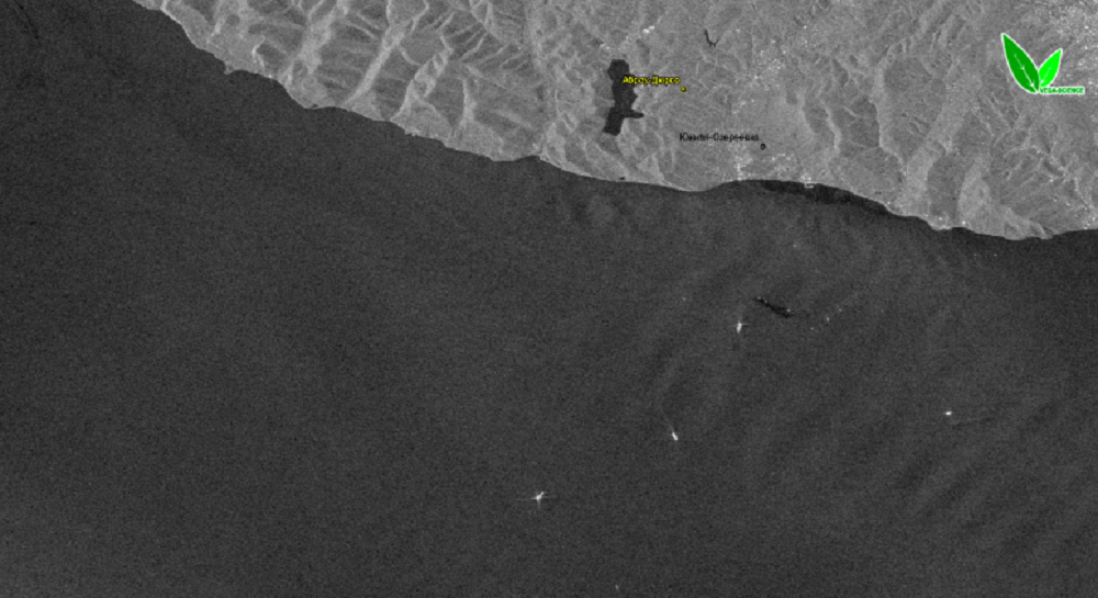 Российские ученые объяснили причину отсутствия на фото из космоса нефтяного пятна в море под Новороссийском