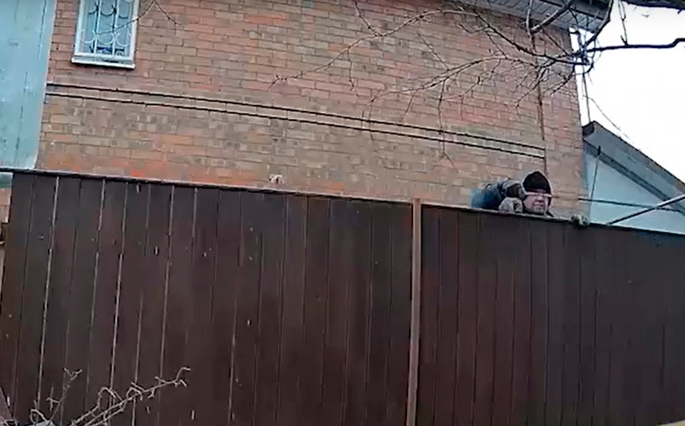 Демоны в голове ростовчанина превратили в ад жизнь его соседей в СНТ «Красный Садовод»