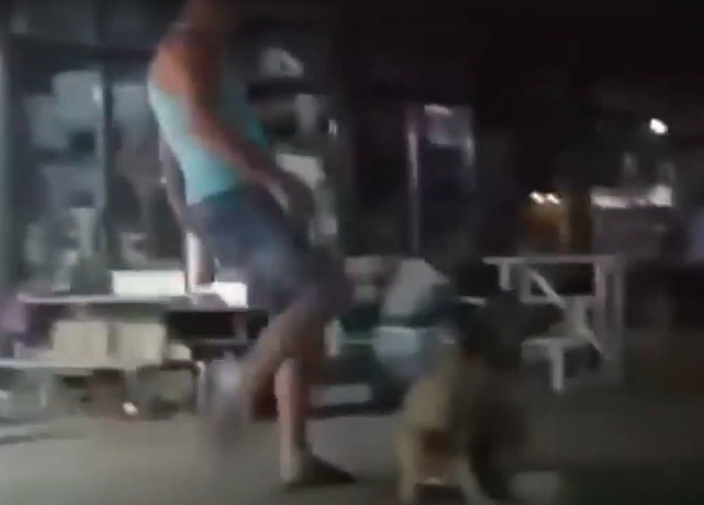 Ростовчане потребовали наказать мужчину за избиение собаки на цветочном рынке