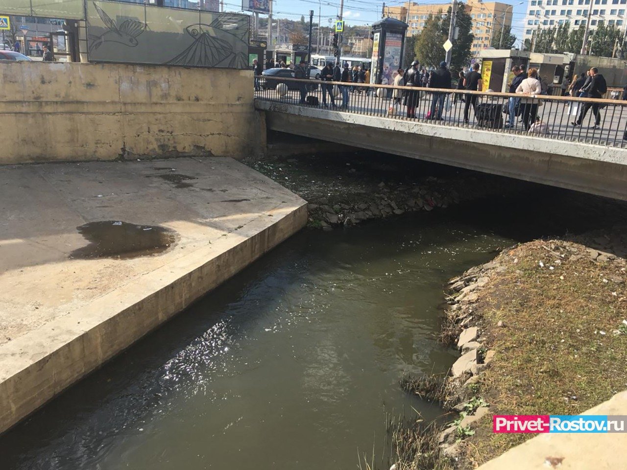 Площадь темерника в ростове на дону. Река Темерник в Ростове. Парк вдоль реки Темерник в Ростове на Дону. Речка Темерник в Ростове. Расчистка реки Темерник.