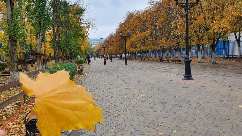 Осень в Ростове