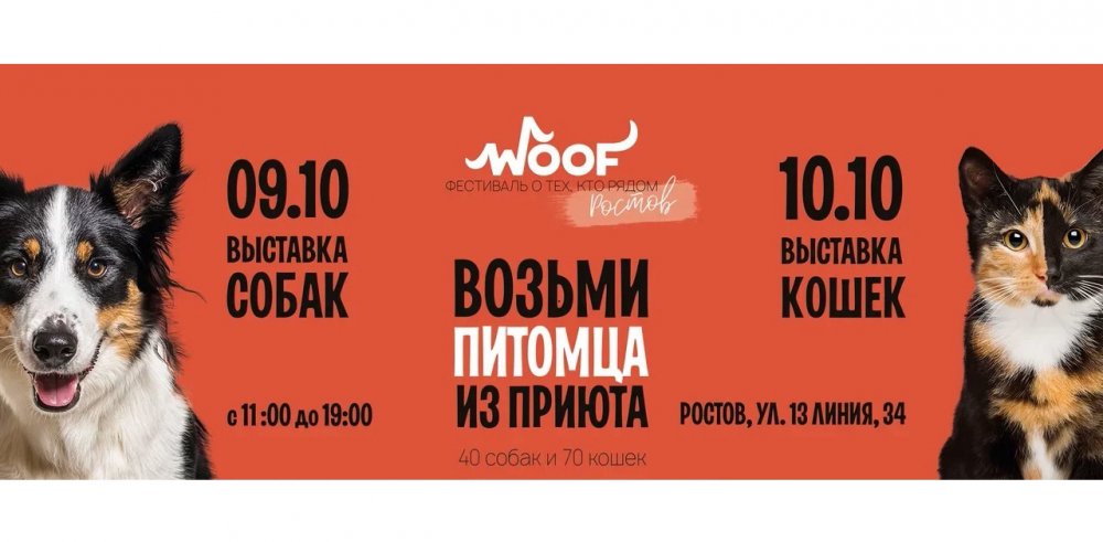 9 и 10 октября фестиваль WOOF вновь откроет пройдет в Ростове чтобы подарить дом собакам и кошкам из приютов