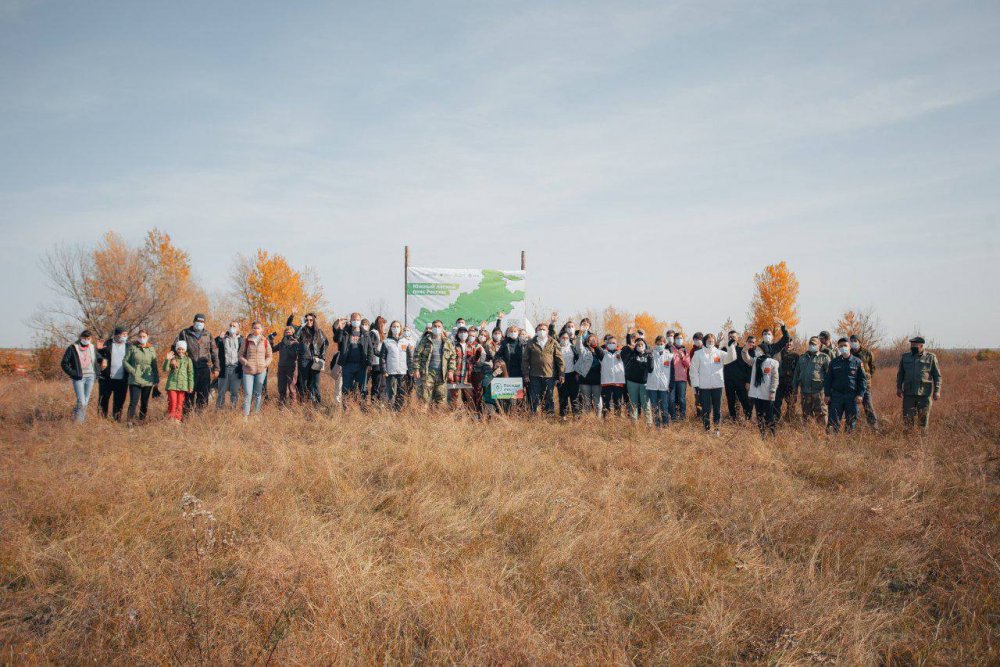 Волонтеры Сбера высадят 10 тыс. сосен в Ростовской области
