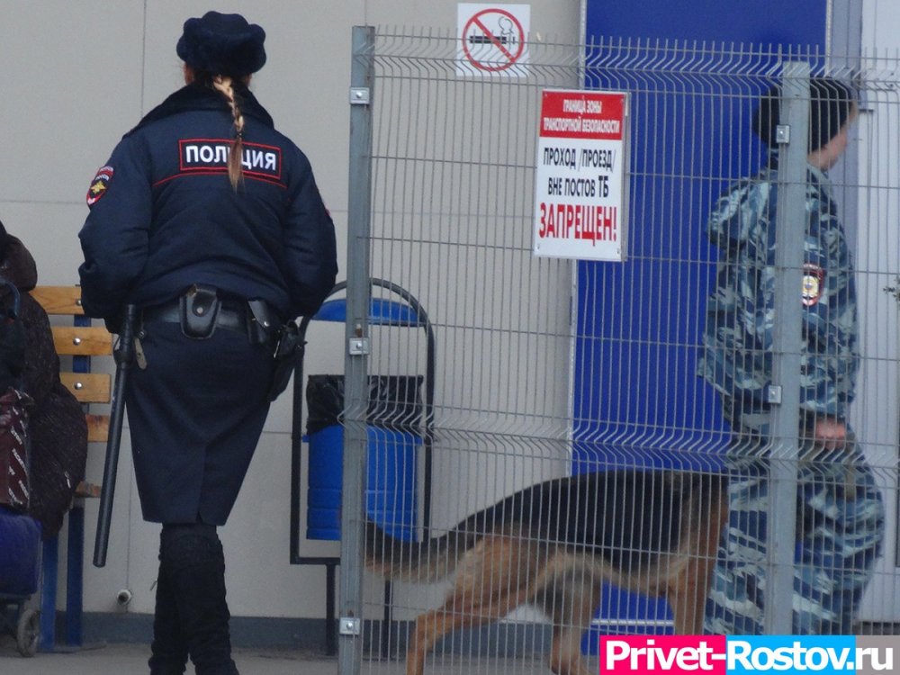 Ростовчан будут штрафовать за выгул опасных собак без намордника и поводка