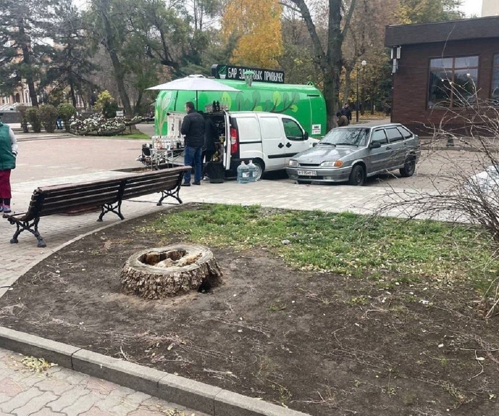 Ростовчан возмутила массовая вырубка деревьев на Университетском