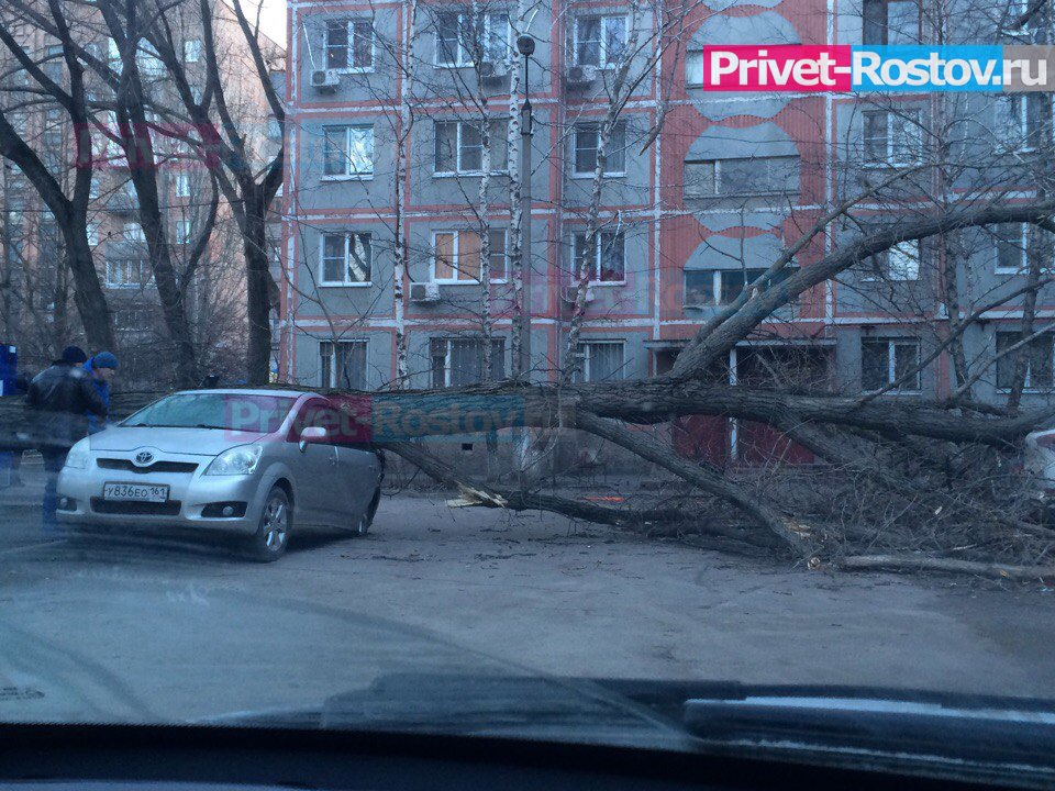 Экстренное предупреждение объявили в Ростове из-за ураганного ветра утром 27 ноября