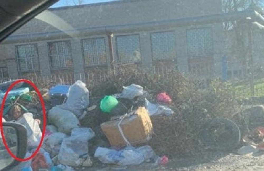 В Батайске на помойке среди мусора обнаружили женщину