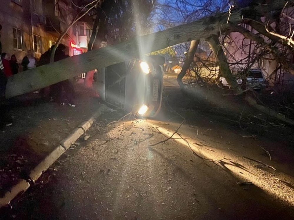 Автомобиль перевернулся из-за падения на него дерева в Ростове-на-Дону 28 ноября