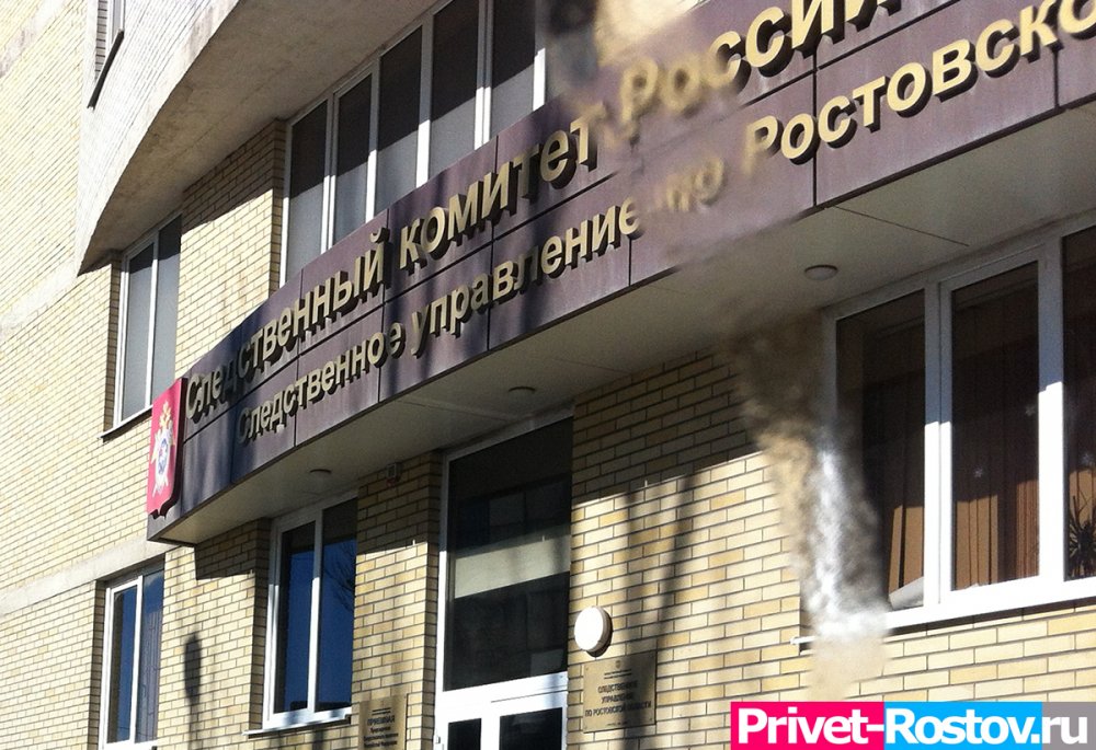 В Ростовской области директора школы обвинили в служебном подлоге в ноябре