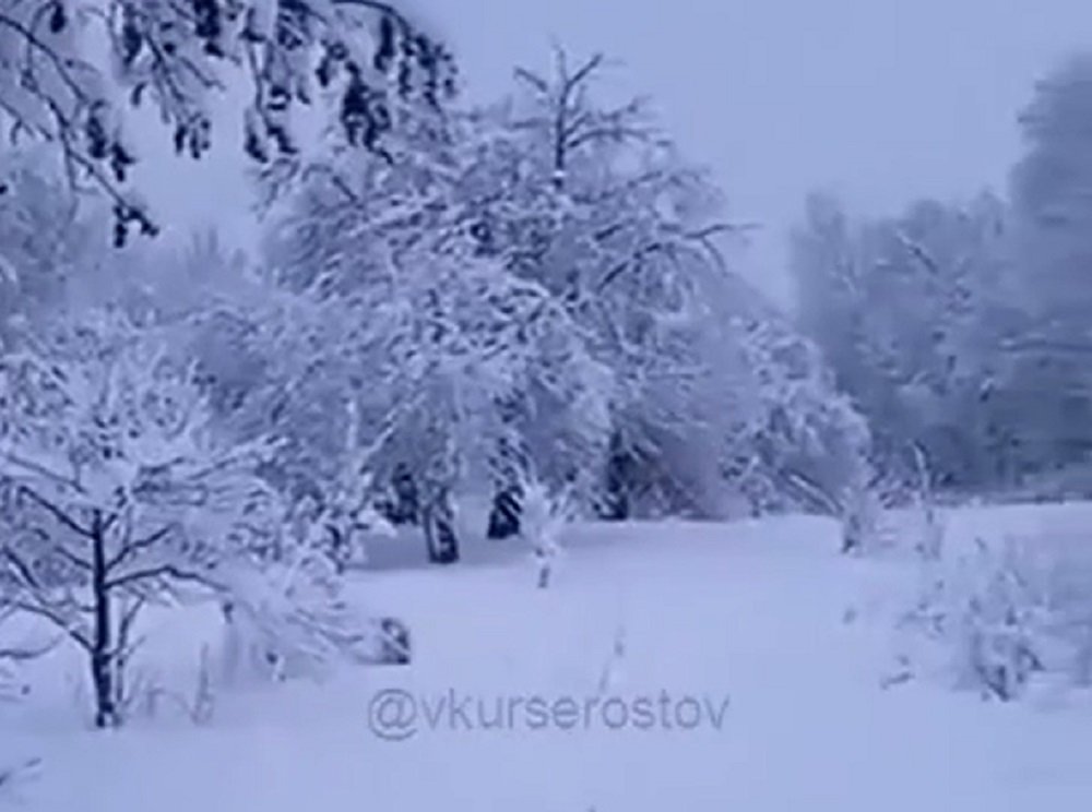 Снегопады обрушились на север Ростовской области
