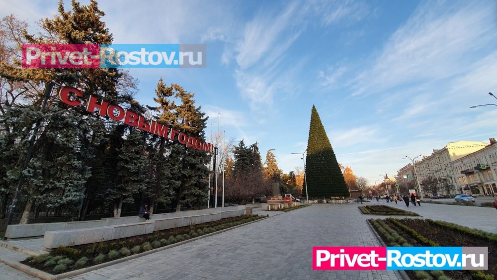 В Ростове-на-Дону установили и украсили главную новогоднюю елку в центре 4 декабря 2021 года