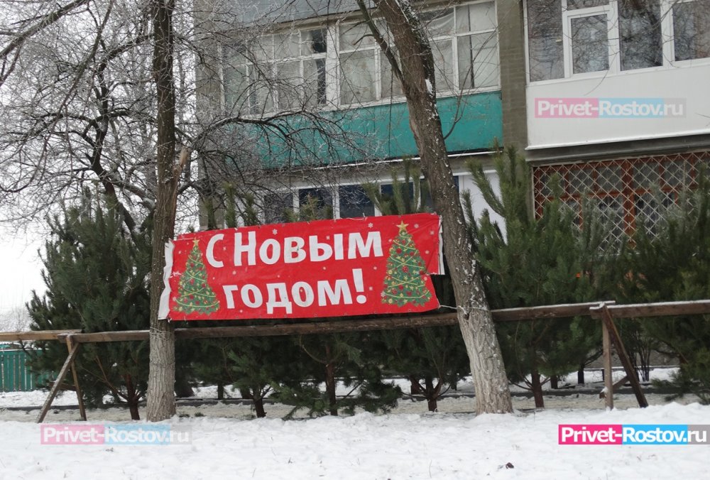 Десять незаконных елочных базаров ликвидировали в Ростове с середины декабря в 2021 году