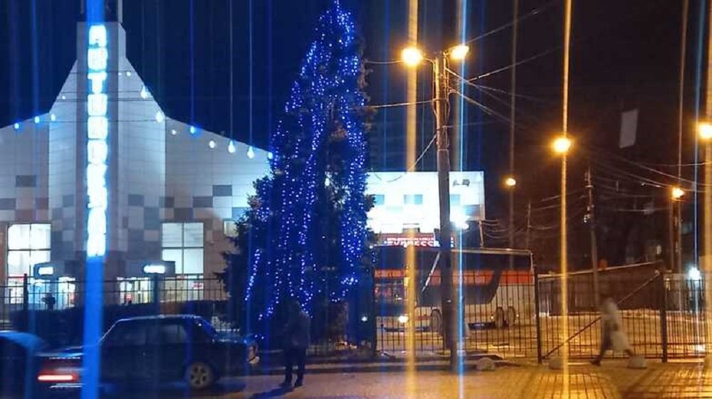 Еще одна жертва шторма: елка у старого автовокзала в Ростове накренилась
