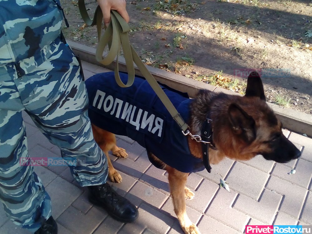 В Ростове-на-Дону эксперты забраковали крупную партию кормов для полицейских собак в 2021 году