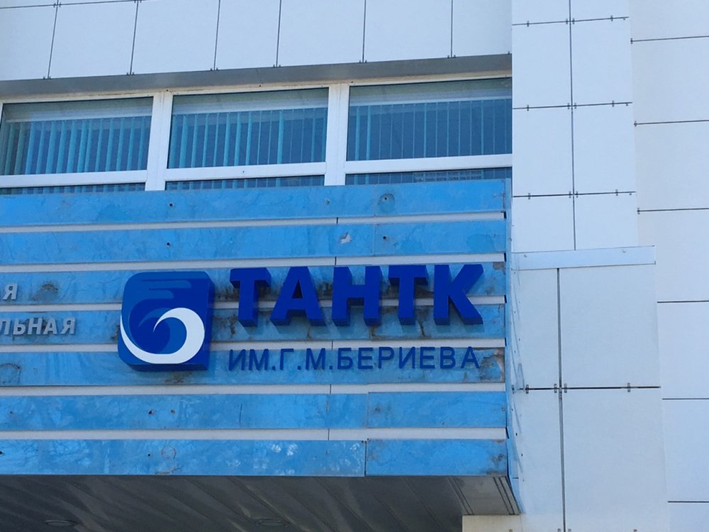 Экс-директору ТАНТК им. Бериева вменяют аферу с патентом на самолет-амфибию