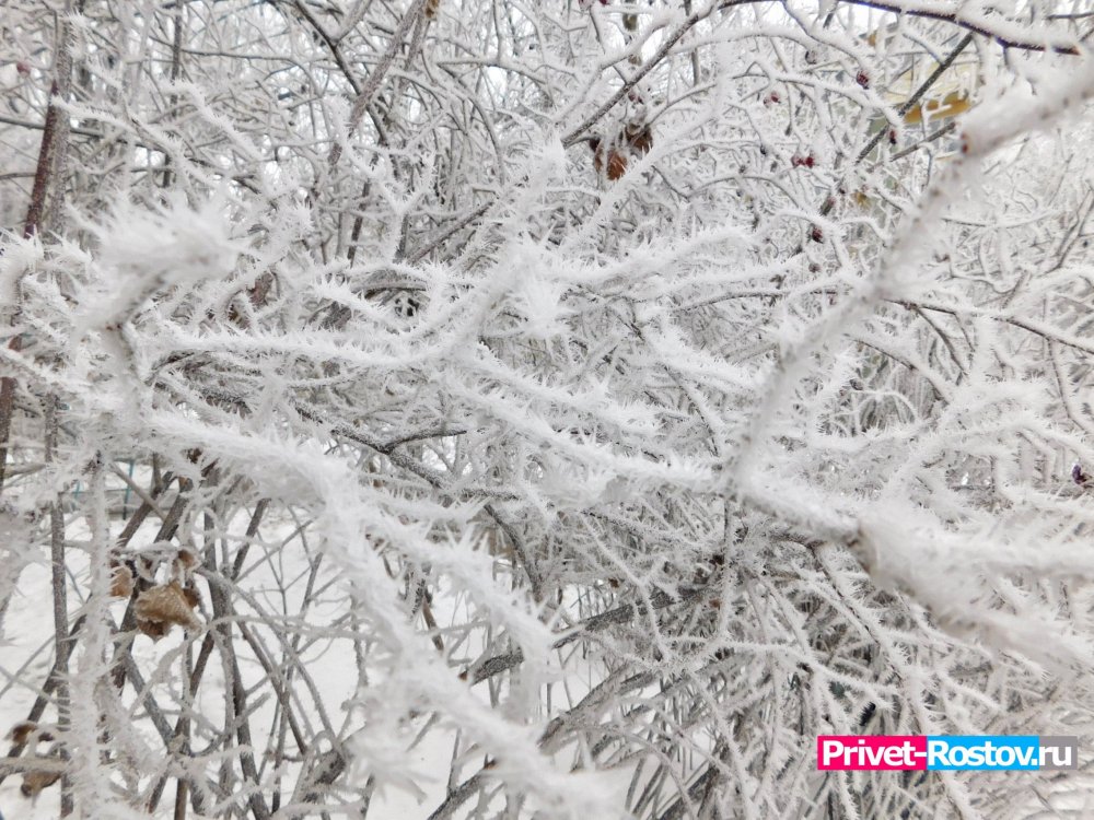 Жителям Ростовской области рассказали какие сюрпризы ждать от погоды в феврале
