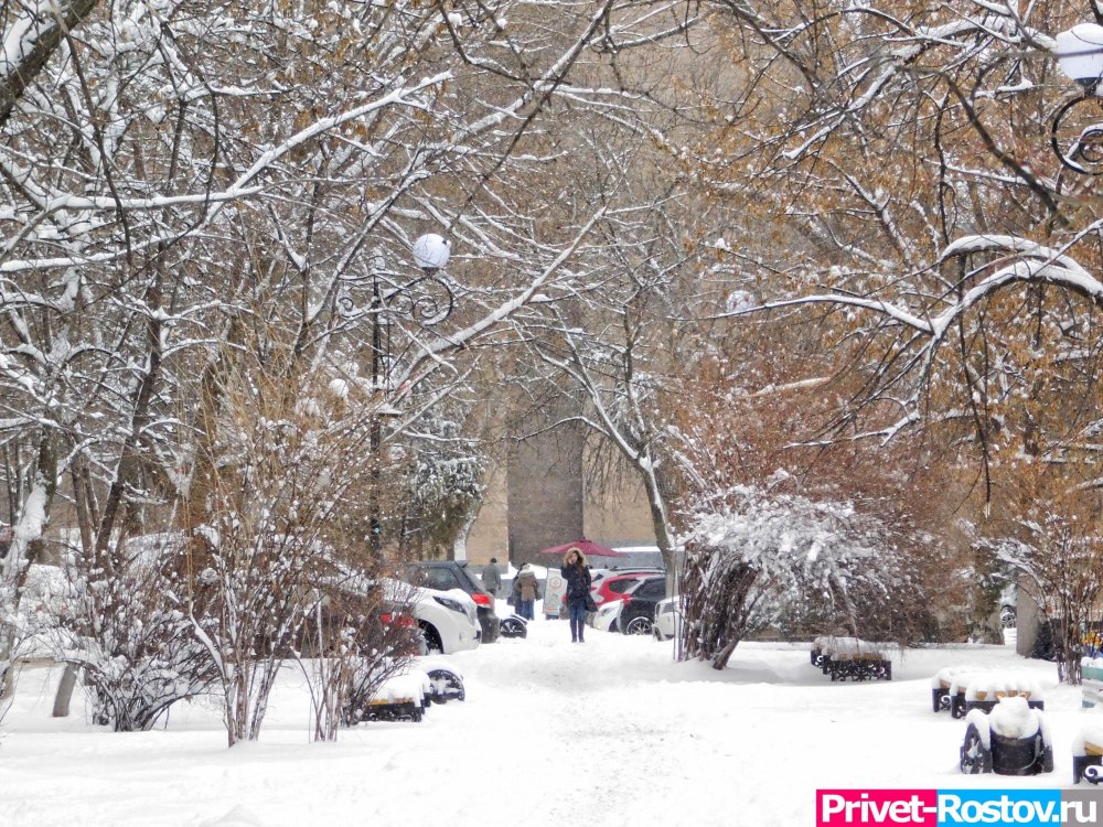 Снежно-ветреным воскресенье, 30 января, будет в Ростове