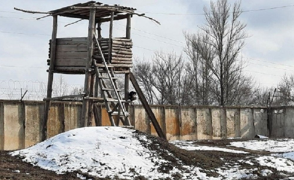 Об обнаружении подобия концлагеря около Ростовской области сообщили в ЛНР