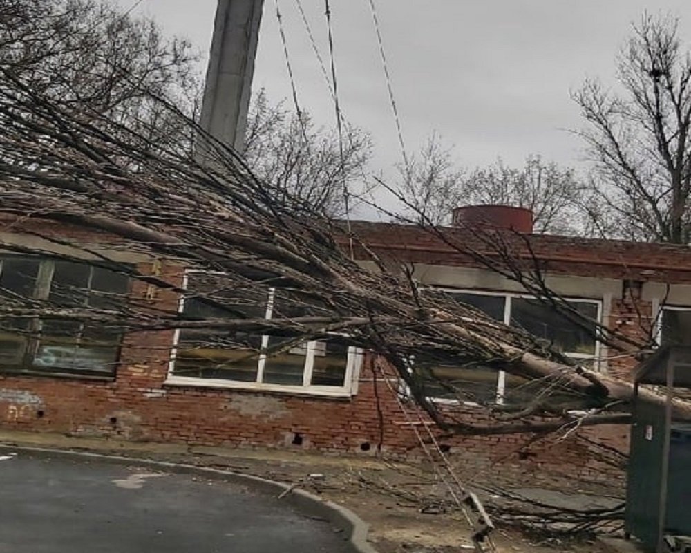 В Ростове ураган 27 марта отрывал подоконники и валил деревья