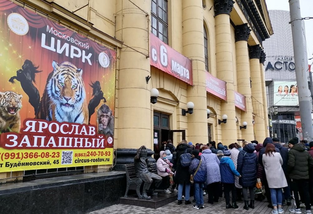 Тигры Ярослава Запашного приехали в Ростов