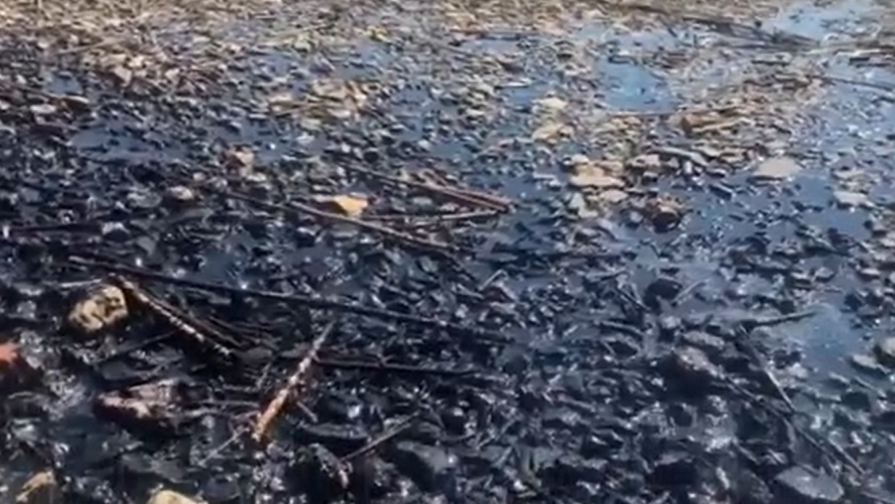 Розлив нефти произошел в Дону в районе западного моста в Ростове