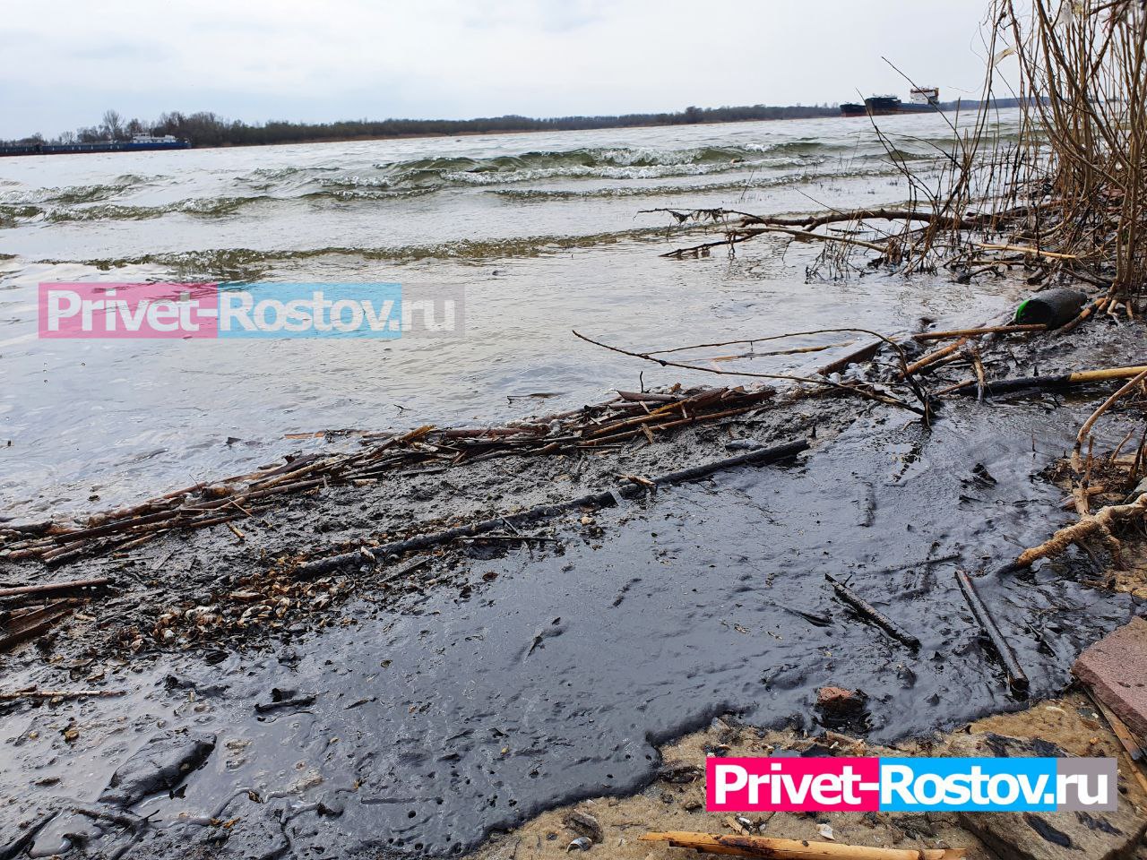 SOS: В Ростове началась экологическая катастрофа на берегу Дона из-за  выброса нефти