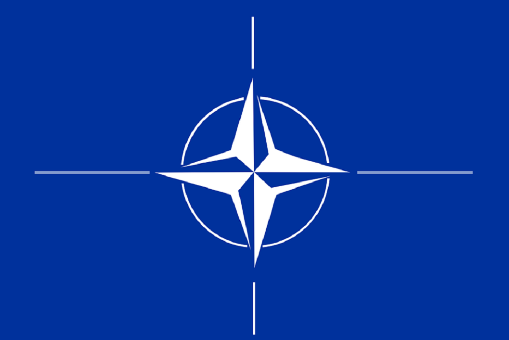 Times: Финляндия и Швеция намерены вступить в НАТО летом 2022 года