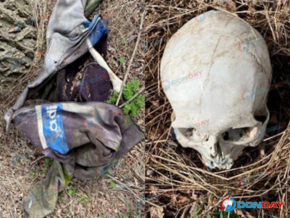 Разложивший труп человека нашли у трассы в лесополосе в Ростовской области