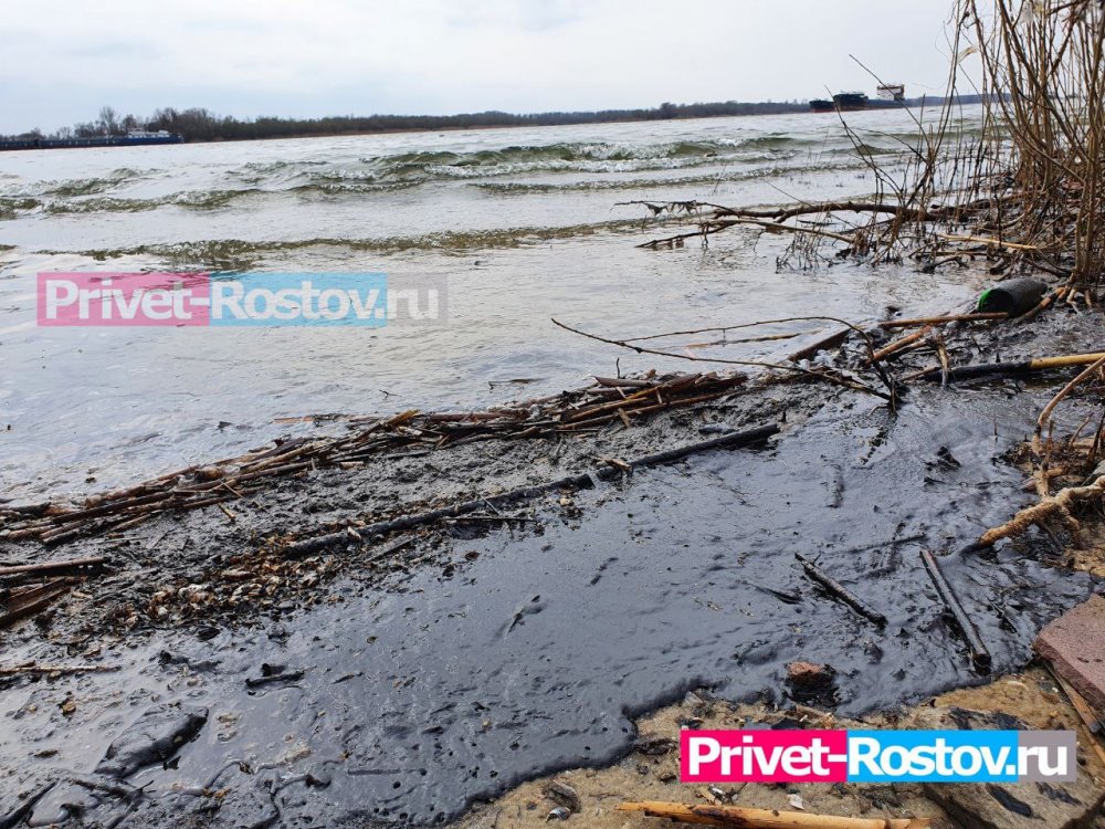 SOS: В Ростове началась экологическая катастрофа на берегу Дона из-за выброса нефти