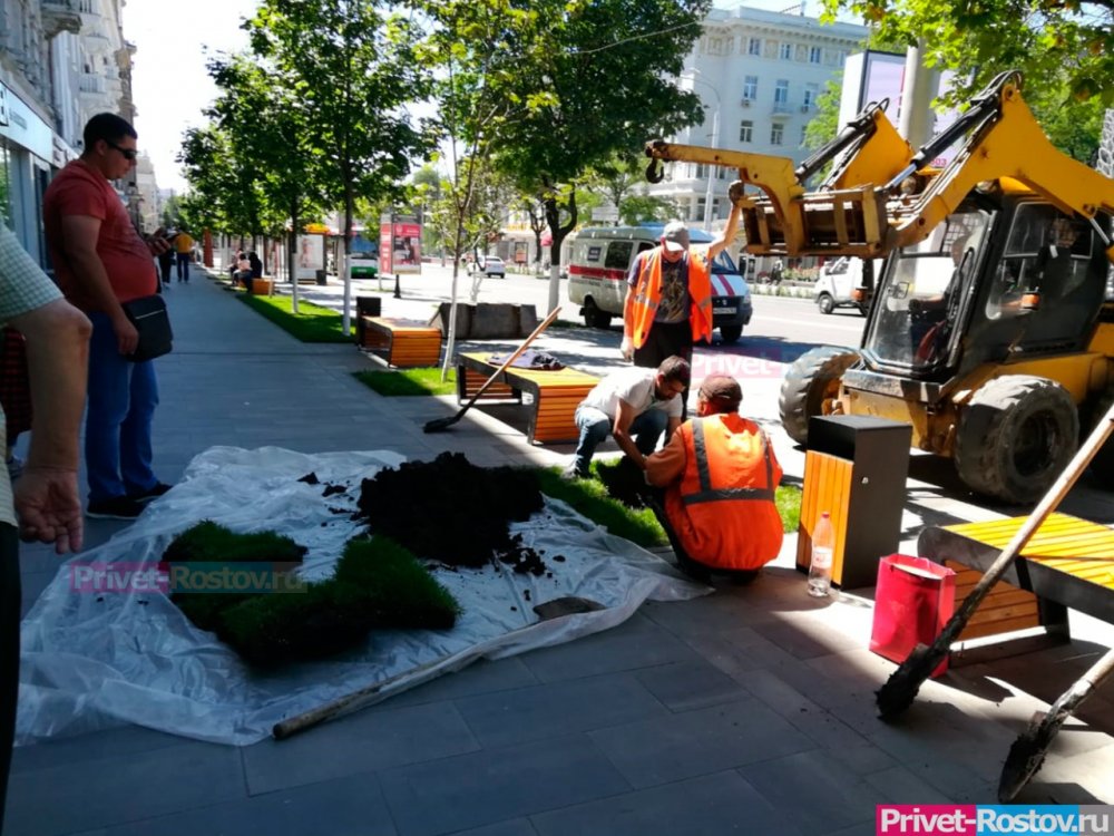 Логвиненко объявил о планах масштабно озеленить Ростов деревьями в День древонасаждения