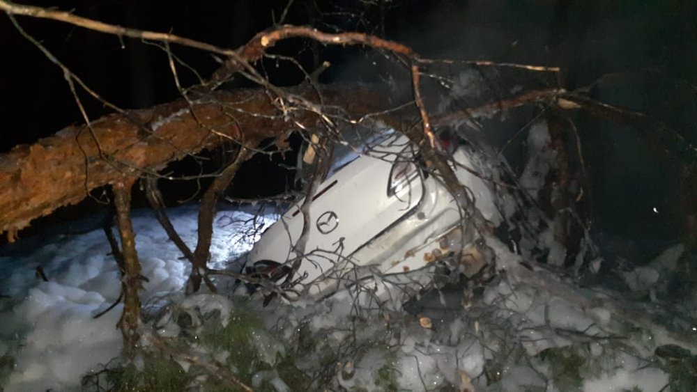 В Ростовской области автомобиль врезался в дерево и загорелся вечером 13 апреля