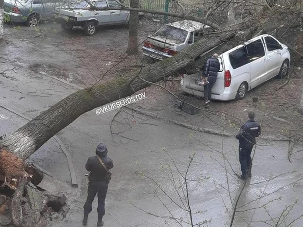 Дерево раздавило припаркованную легковушку на Коммунистическом в Ростове 14 апреля