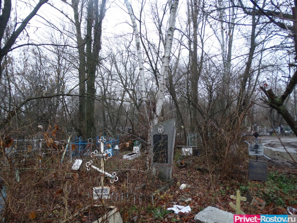 Вплотную к могилам Нижне-Гниловского кладбища в Ростове построят новую школу на 1120 учеников