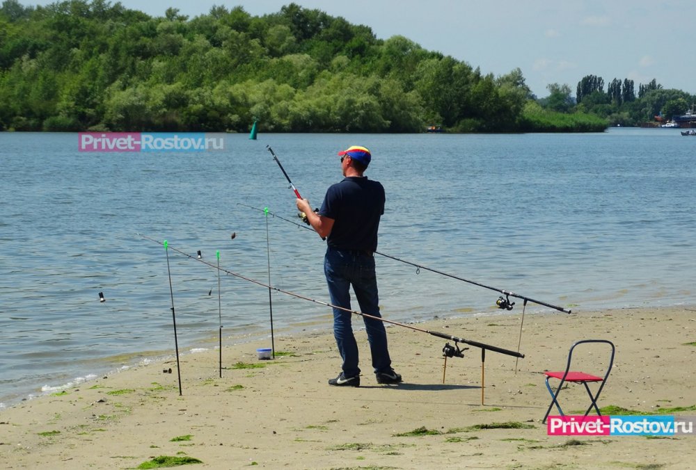 Ловить рыбу в Ростовской области запретят с 20 апреля