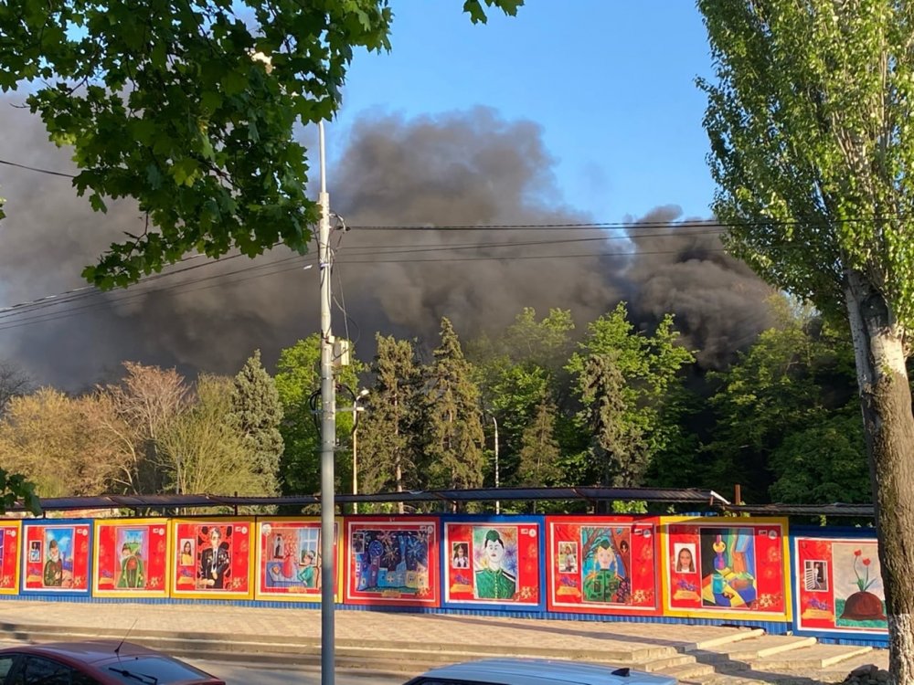 Большой пожар начался в парке Горького в Ростове 27 апреля