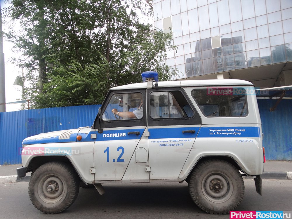 Ранивший приставов ростовчанин напал на полицейских во время задержания 29 апреля