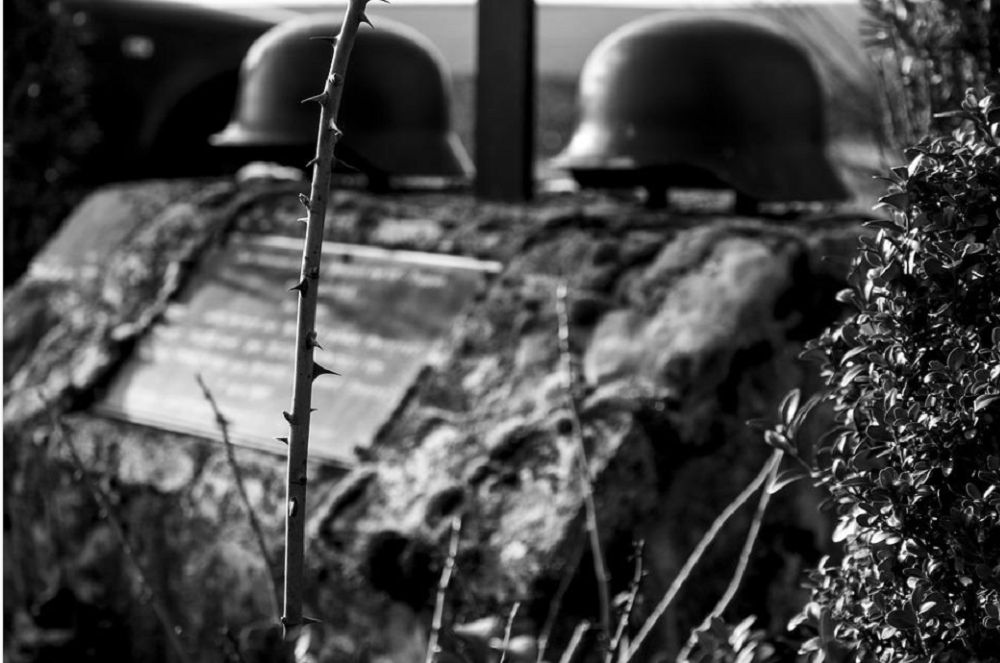 В Ростовской области нашли останки восьми солдат времен Великой Отечественной войны в мае