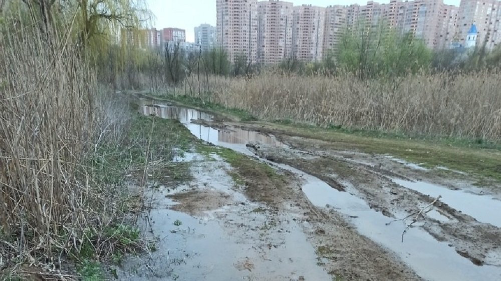 Пробившийся из-под земли родник затопил дорогу на Северном в Ростове