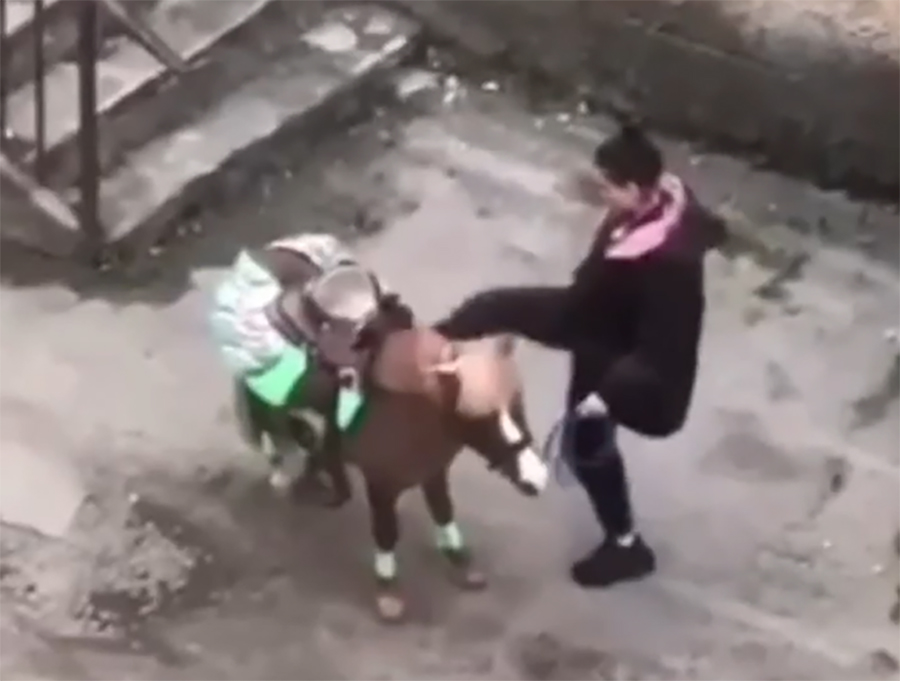 В Ростовской области разъяренная женщина избила пони, который скинул с себя ребенка