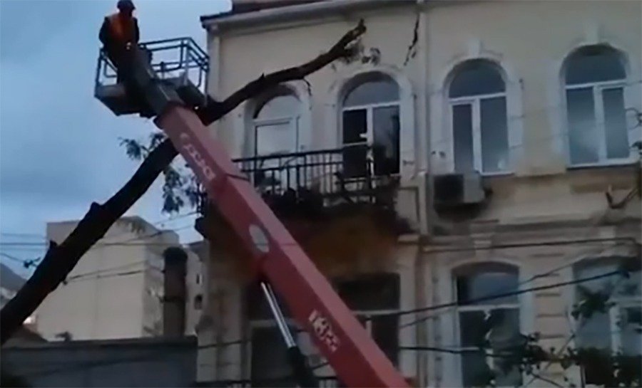 В Ростове дерево упало и повредило балкон и ЛЭП