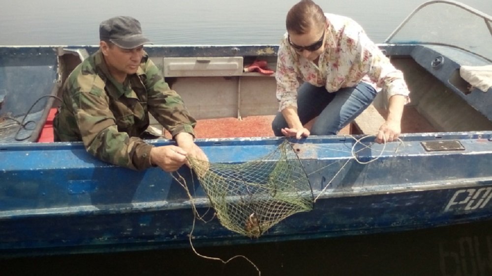 Ростовские ученые раскрыли причины загрязнения почв дельты Дона в июне