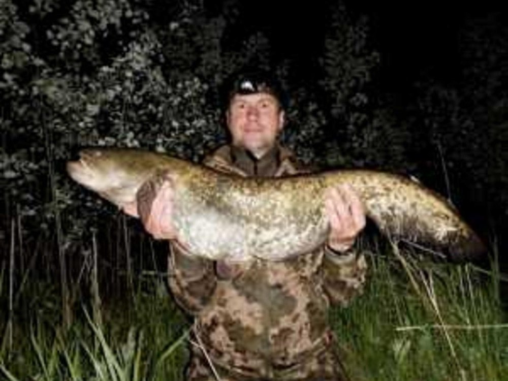 В Ростовской области опытный рыбак поймал на удочку сома, весом 10 килограмм.