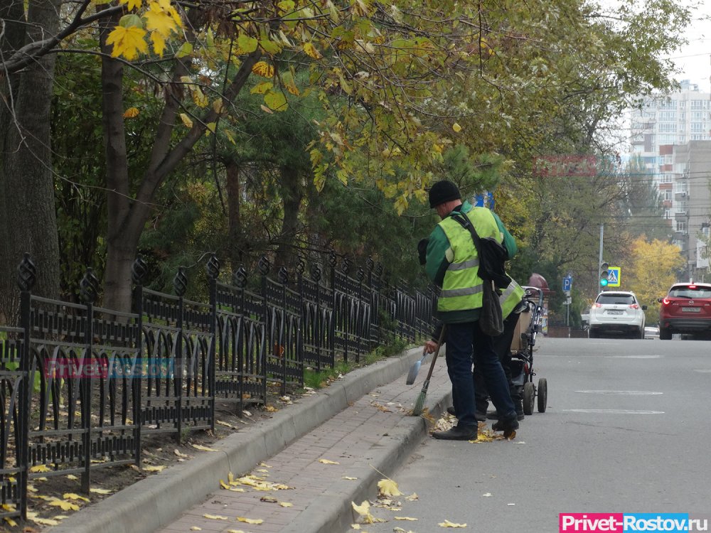 Власти Ростова потратят на уборку и озеленение дорог улиц почти 9 миллиардов рублей до конца 2025 года